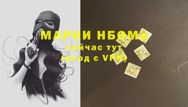 шишки Михайловск