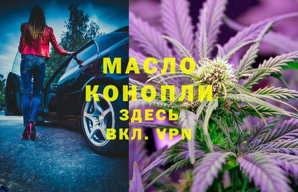 шишки Михайловск