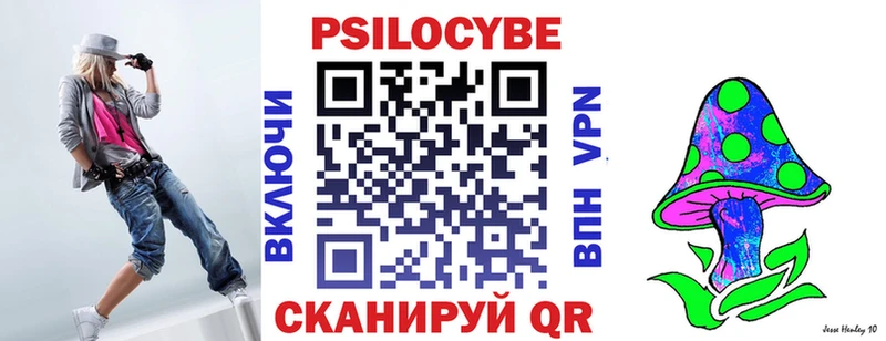 Псилоцибиновые грибы Magic Shrooms  кракен как войти  Катайск  купить закладку 
